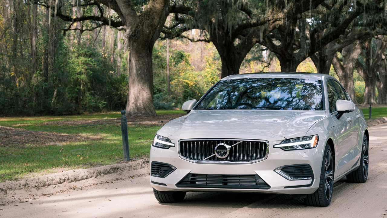 White S60 with trees over roadway